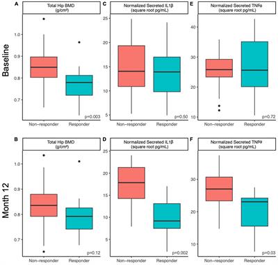 Gut microbes differ in postmenopausal women responding to prunes to maintain hip bone mineral density